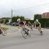 IMG 8286