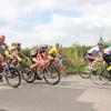 IMG 7987